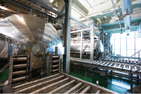 Production lines of New Factory